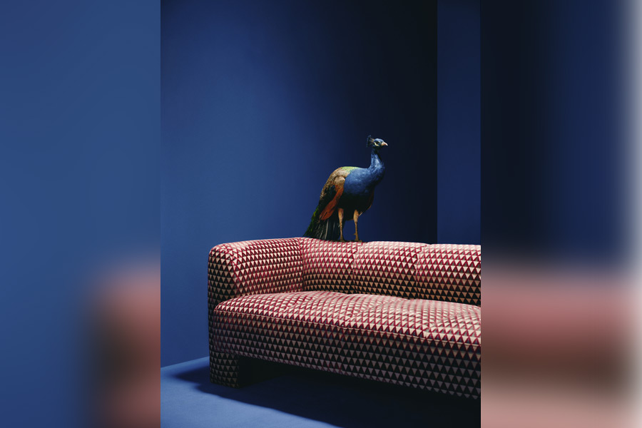 Stylish up^holstery