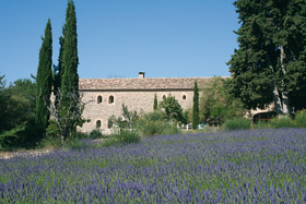 A holiday home in Provence