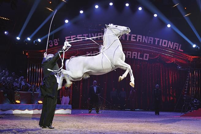 Festival du Cirque 