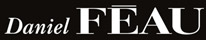 AGENCE DANIEL FEAU SAINT GERMAIN EN LAYE - Logo