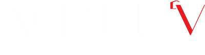 AGENCE AGENCE V AV - Logo