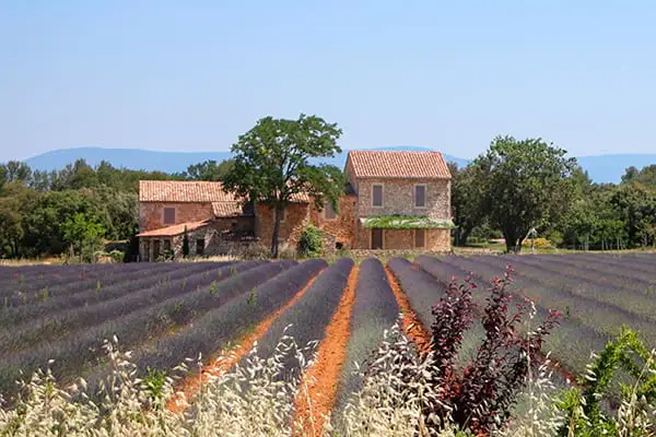 Immobilier de luxe en Provence : trouvez votre bien d'exception parmi nos 1187 annonces à la vente et en location de prestige