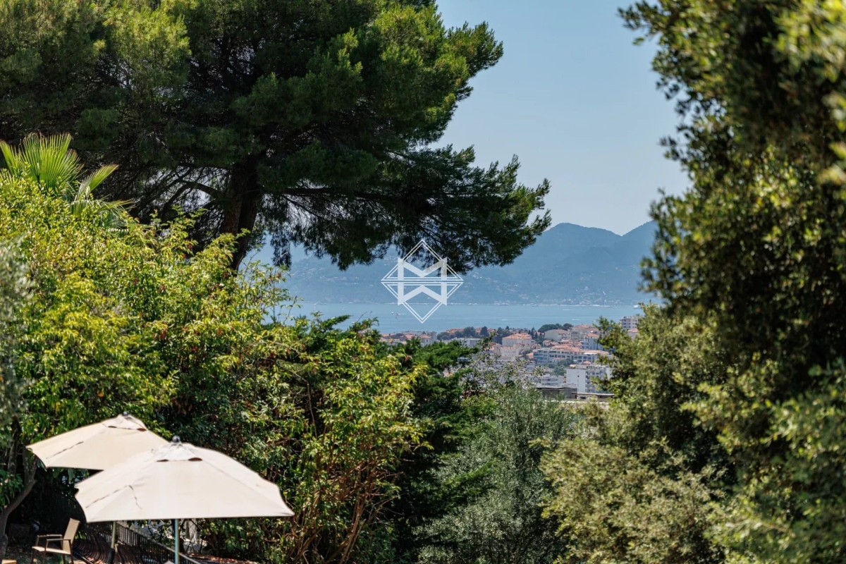 Maison de luxe à vendre à Cannes, 3 250 000 €, Photo 3