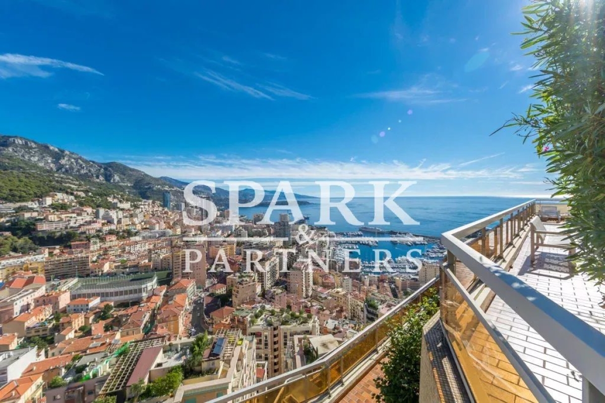 Appartement de luxe à vendre à Monaco, 22 000 000 €, Photo 5