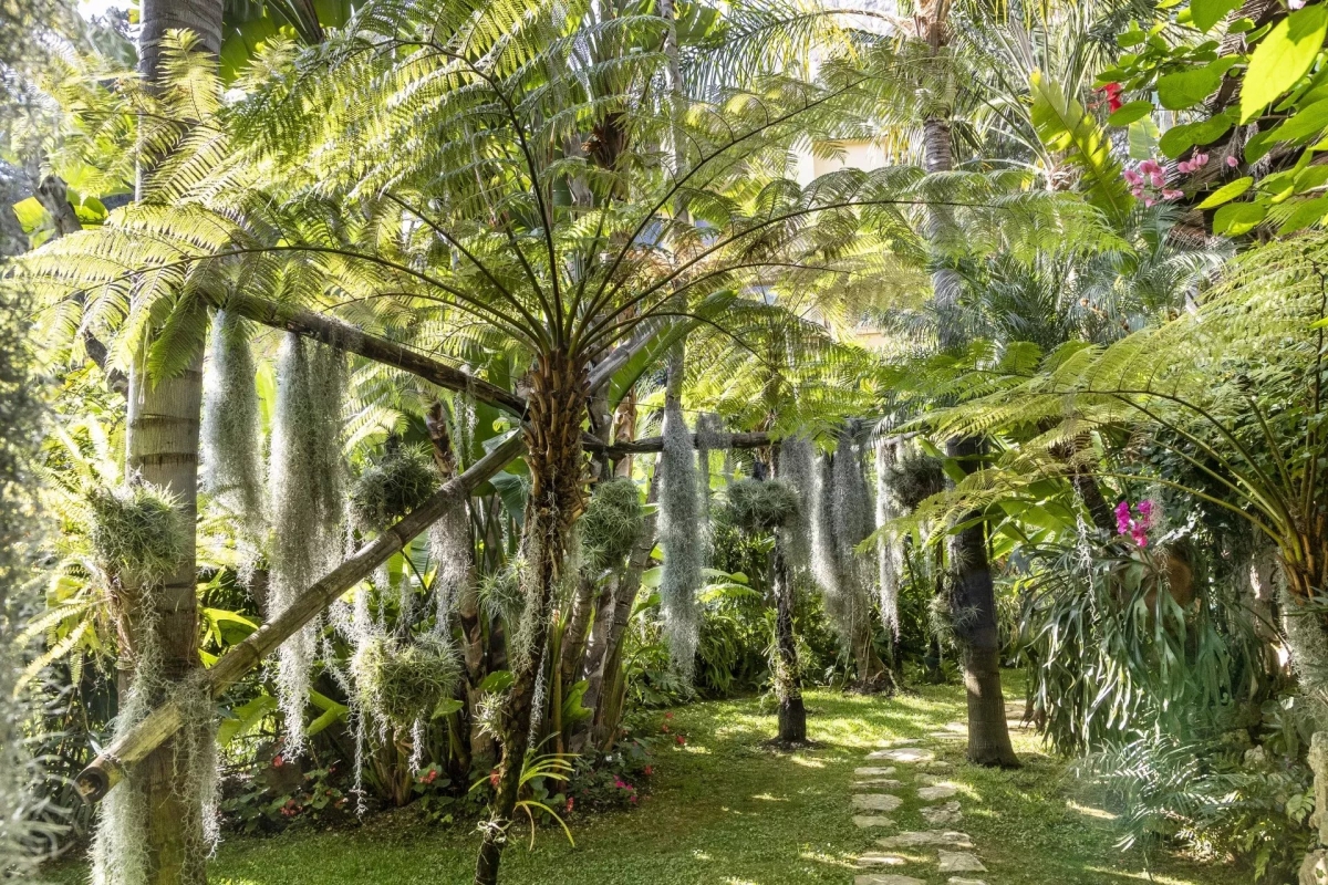 Maison de luxe à vendre à Èze, 2 600 000 €, Photo 6