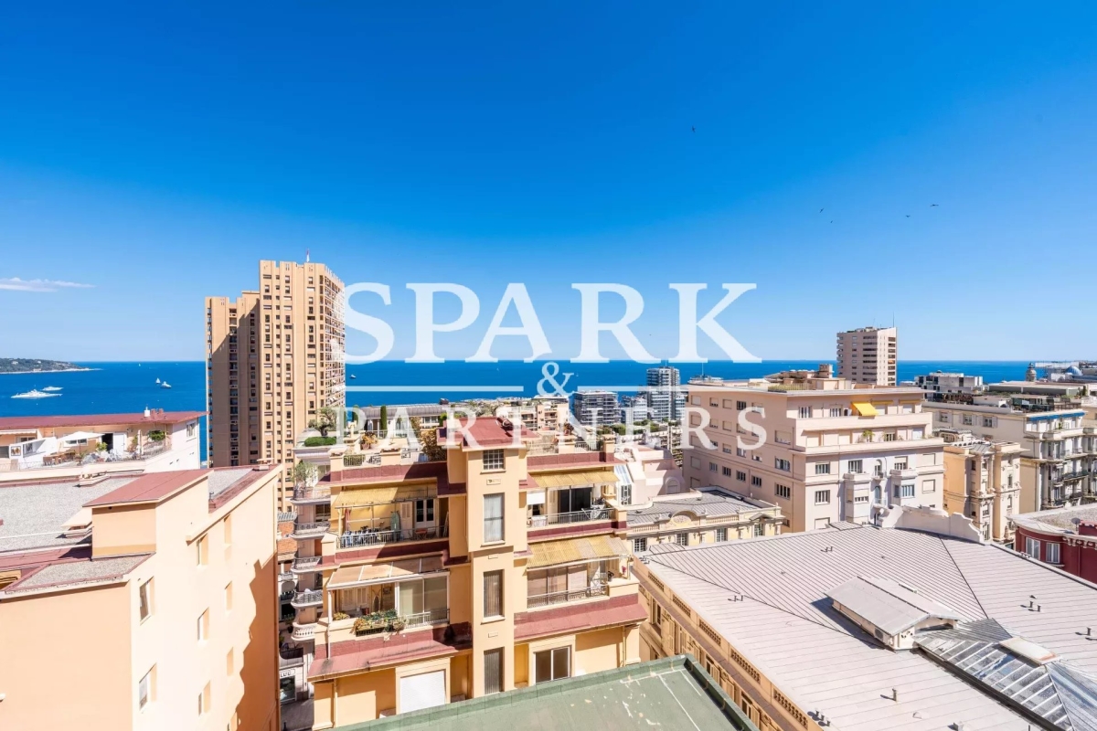 Appartement de luxe à vendre à Monaco, 3 500 000 €, Photo 2