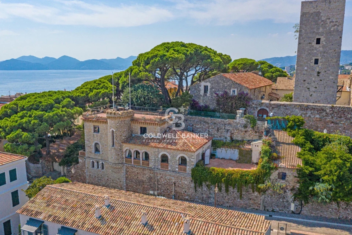 Maison de luxe à vendre à Cannes, 8 500 000 €, Photo 1