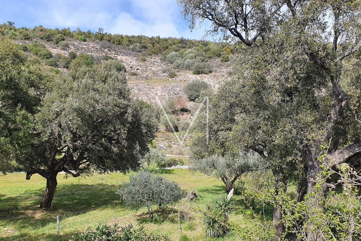 Maison de luxe à vendre à Plan-de-La-Tour, 1 220 000 €, Photo 2