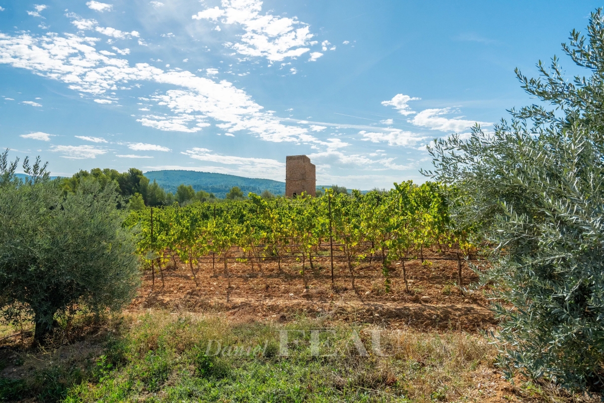 Luxury House for sale in Grambois, 1 450 000 €, Photo 4