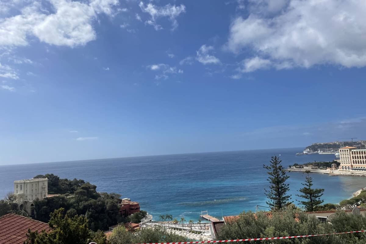 Maison de luxe à vendre à Roquebrune-Cap-Martin, 5 500 000 €, Photo 4