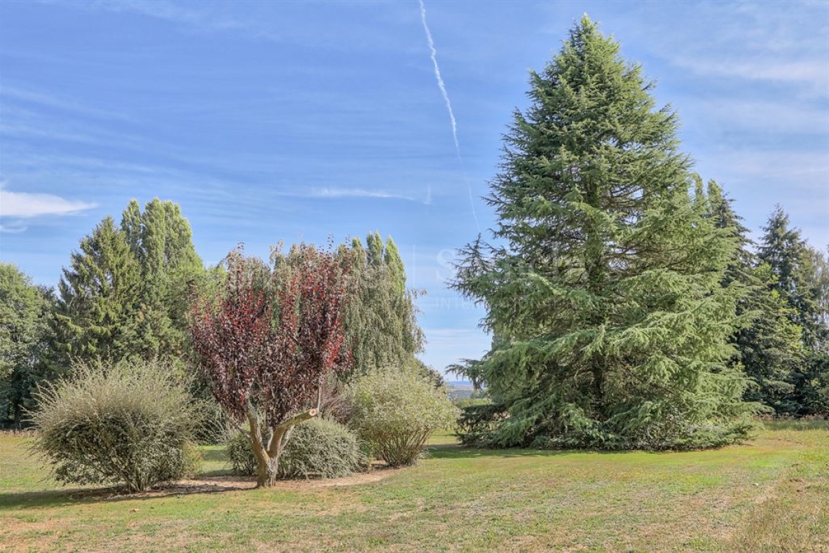 Maison de luxe à vendre à Montfort-l'Amaury, 6 300 000 €, Photo 6