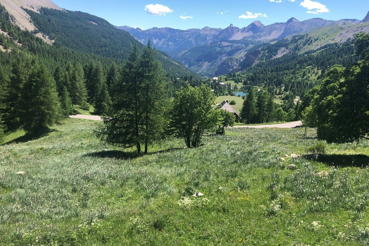 Luxury House for sale in Entraunes, 995 000 €, Photo 3