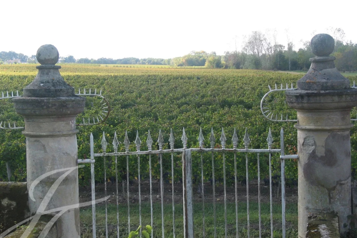 Maison de luxe à vendre à Bordeaux, 2 100 000 €, Photo 4