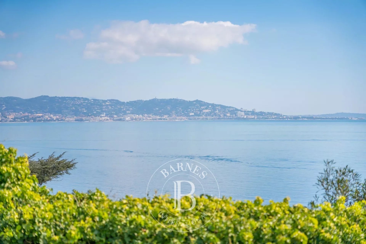 Maison de luxe à vendre à Théoule-sur-Mer, 3 990 000 €, Photo 1