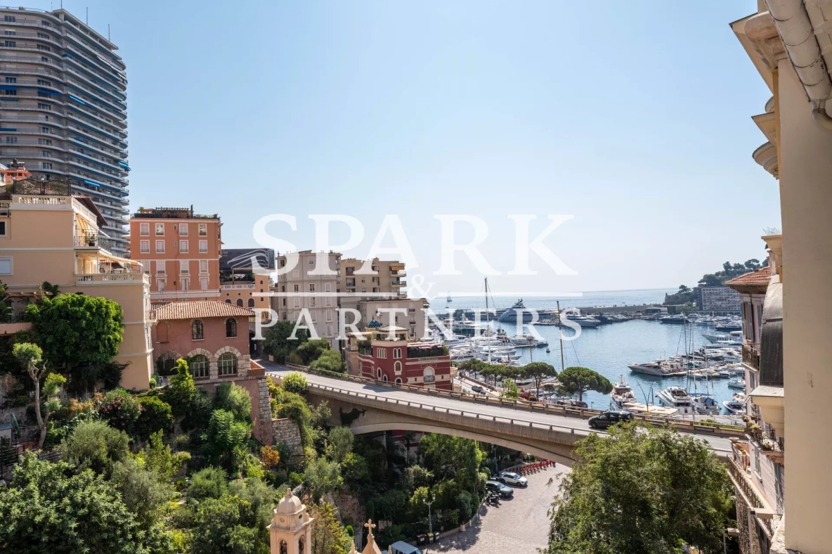 Luxury Apartment for sale in Monaco, 12 500 000 €, Photo 1