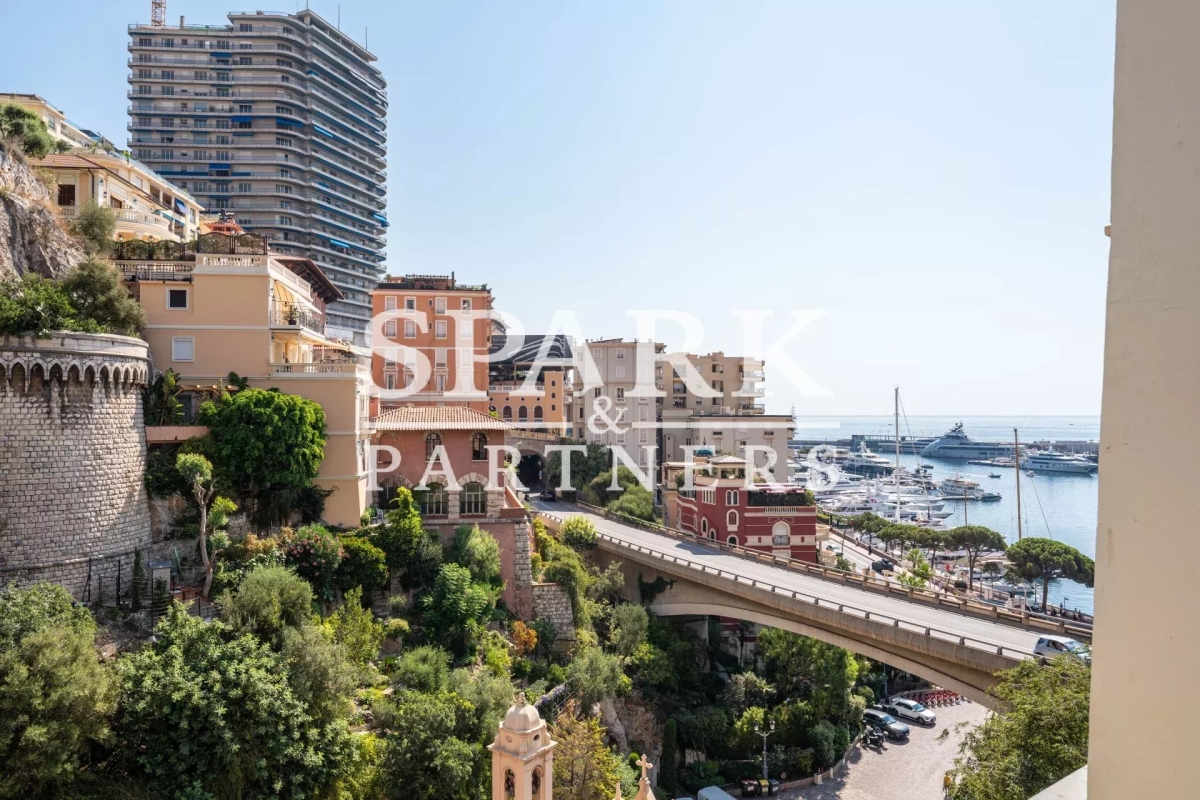 Luxury Apartment for sale in Monaco, 12 500 000 €, Photo 2
