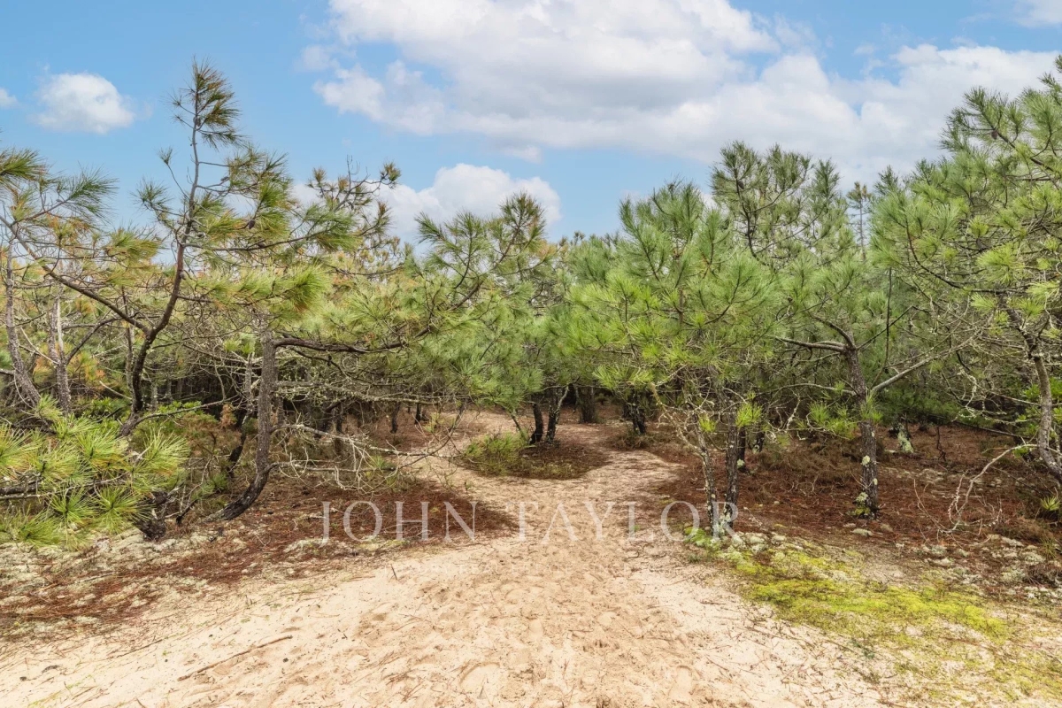 Maison de luxe à vendre à Lege Cap Ferret, 2 520 000 €, Photo 3