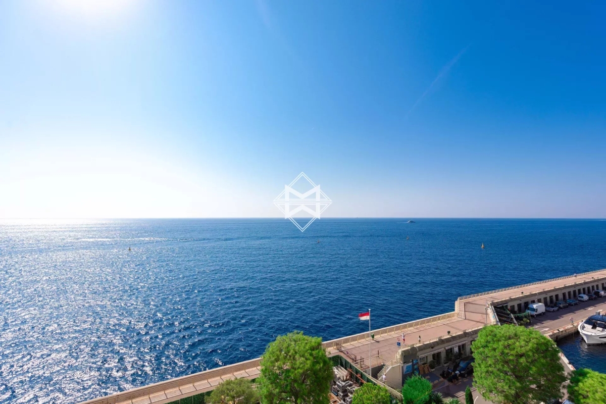 Luxury Apartment for sale in Monaco, 51 800 000 €, Photo 1