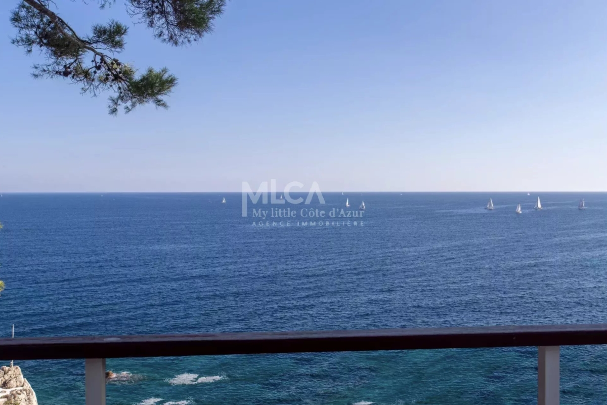 Maison de luxe à vendre à Cap d'Antibes, 4 900 000 €, Photo 3