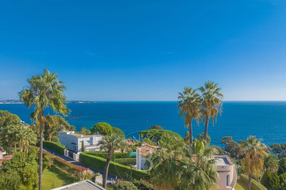 Maison de luxe à vendre à Cannes, 10 250 000 €, Photo 3