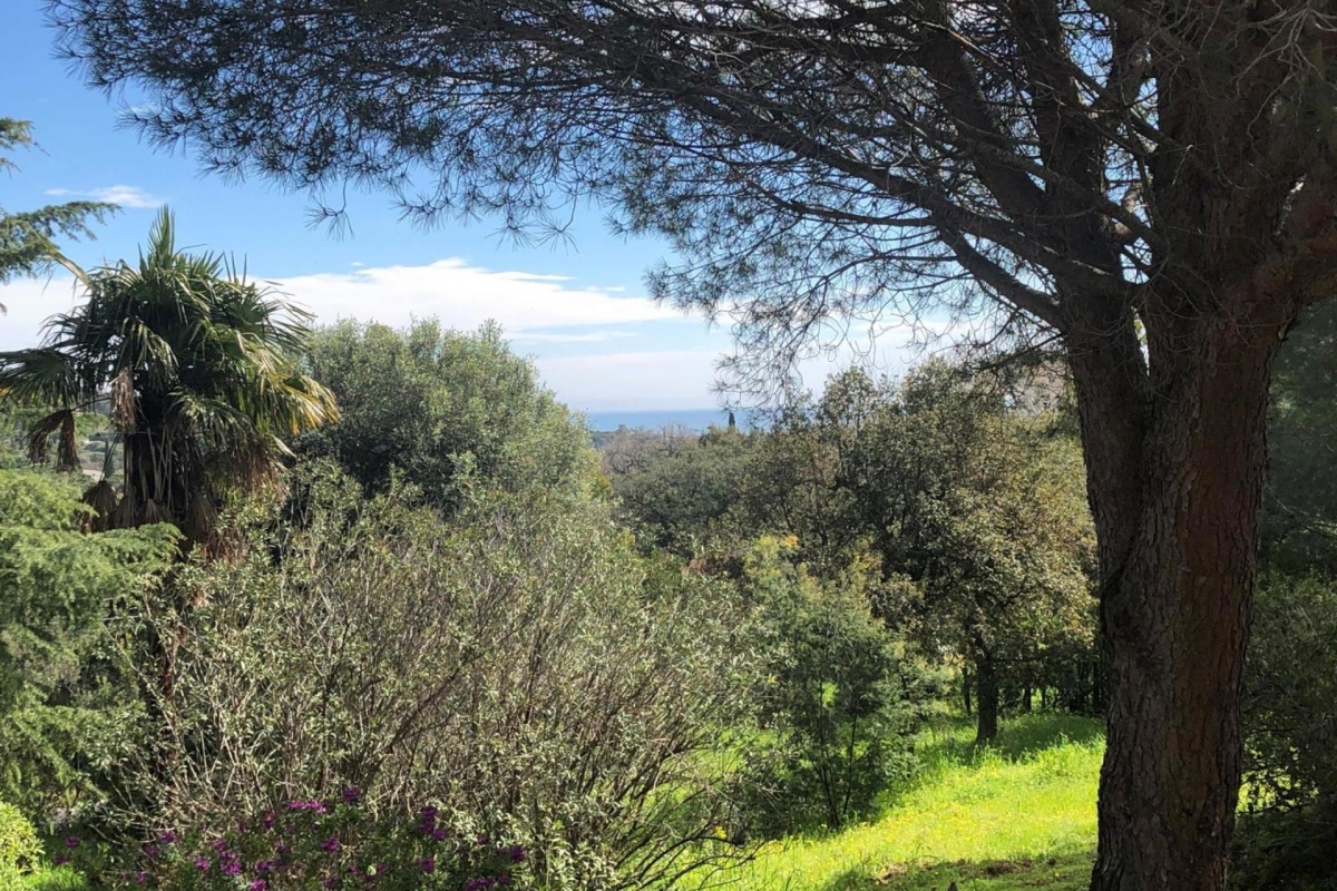 Maison de luxe à vendre à Grimaud, 1 300 000 €, Photo 3