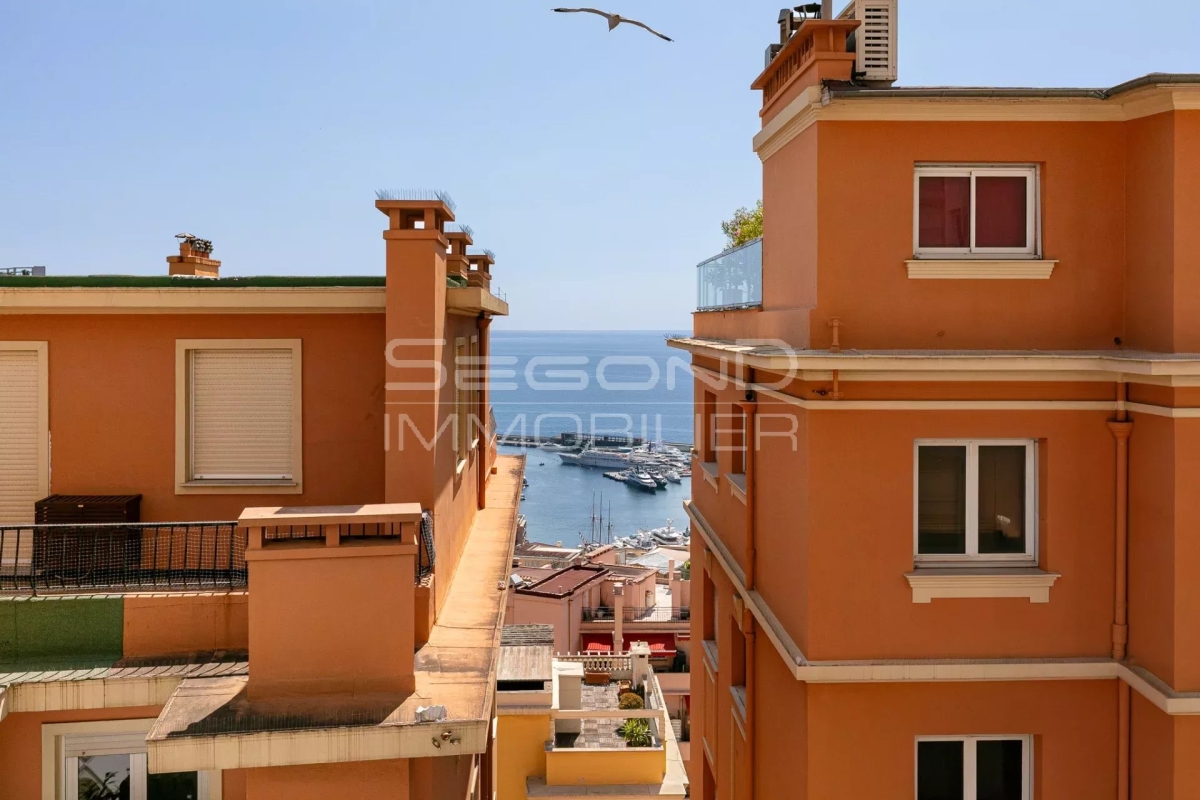 Appartement de luxe à vendre à Monaco, 3 950 000 €, Photo 5