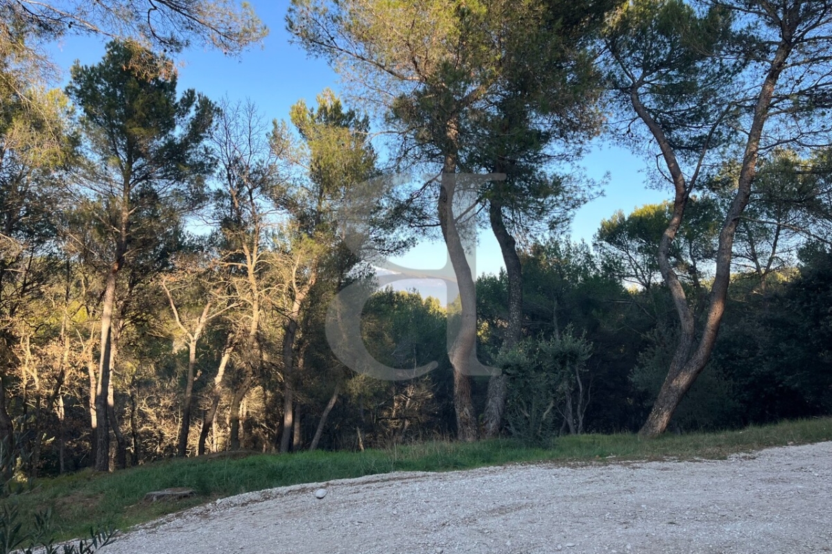 65007651