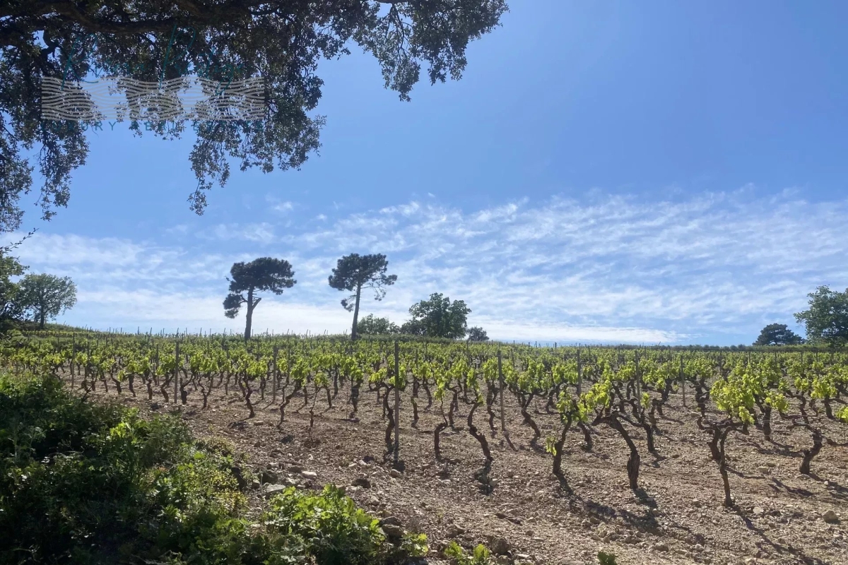 Maison de luxe à vendre à Grimaud, 11 130 000 €, Photo 1