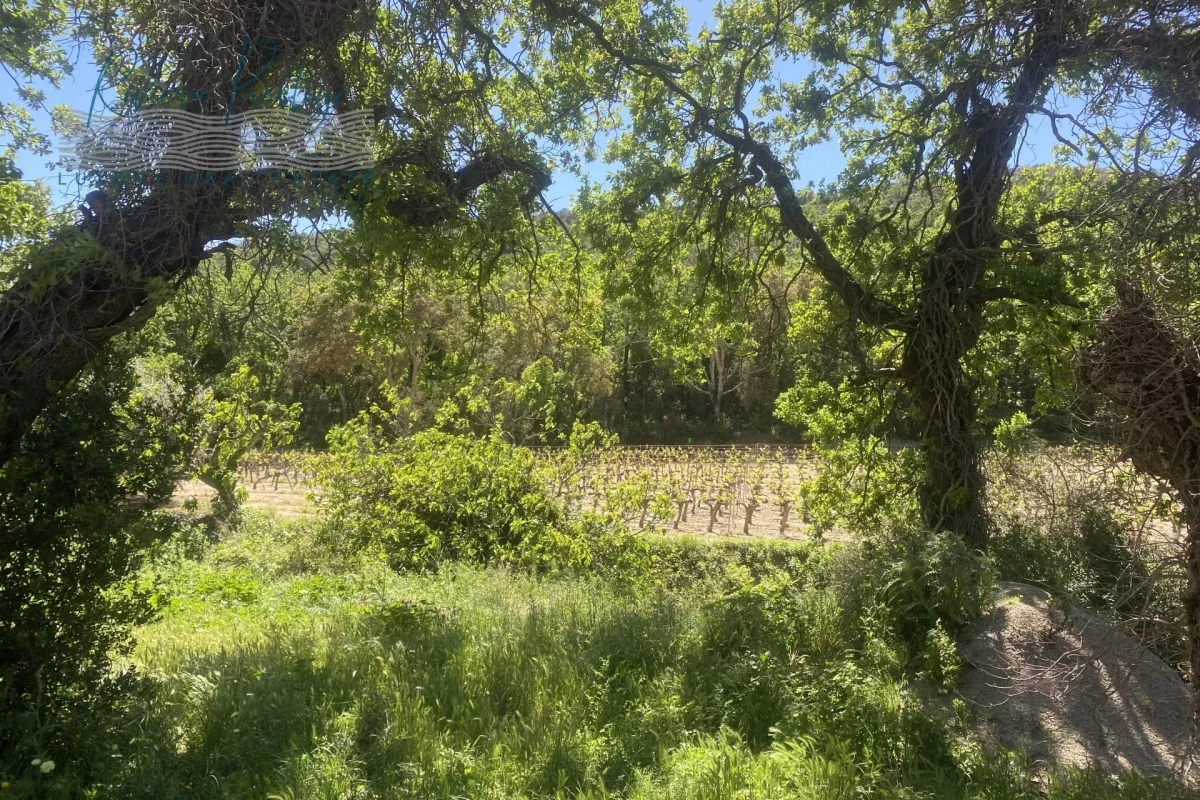 Maison de luxe à vendre à Grimaud, 11 130 000 €, Photo 4