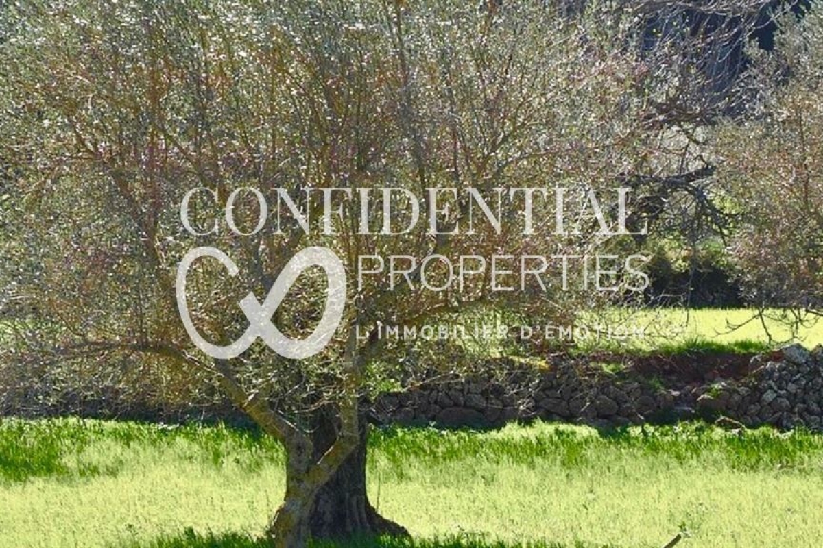 Maison de luxe à vendre à Saint-Tropez, 42 000 000 €, Photo 4