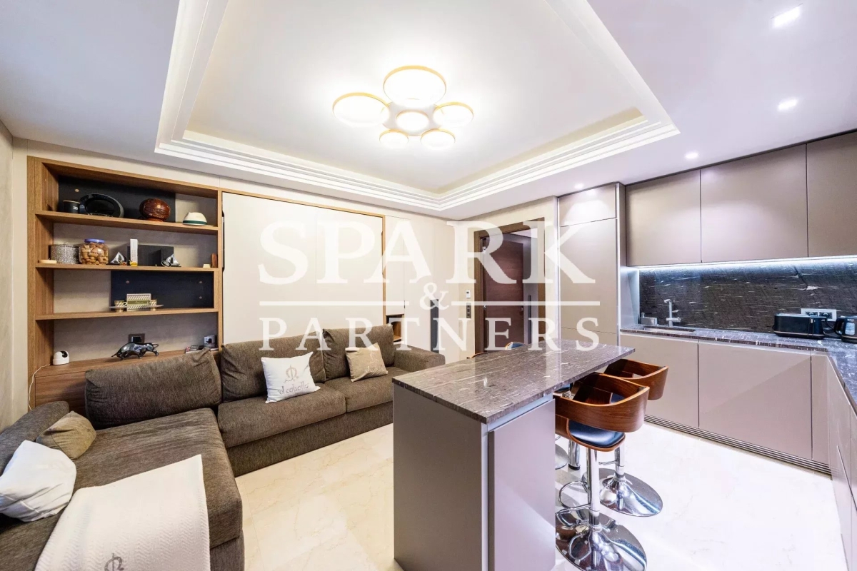 Luxury Apartment for sale in Monaco, 2 495 000 €, Photo 4