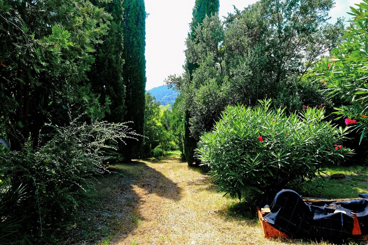 Maison de luxe à vendre à Vintimille, 15 000 000 €, Photo 6