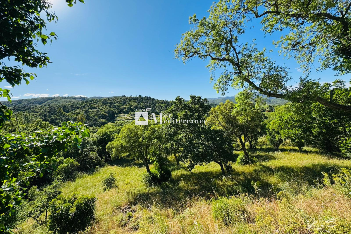 Maison de luxe à vendre à La Môle, 1 400 000 €, Photo 3
