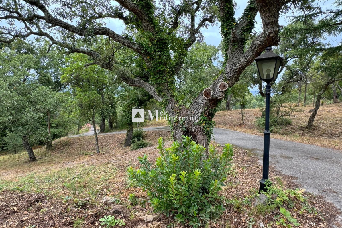 Maison de luxe à vendre à La Môle, 1 400 000 €, Photo 7