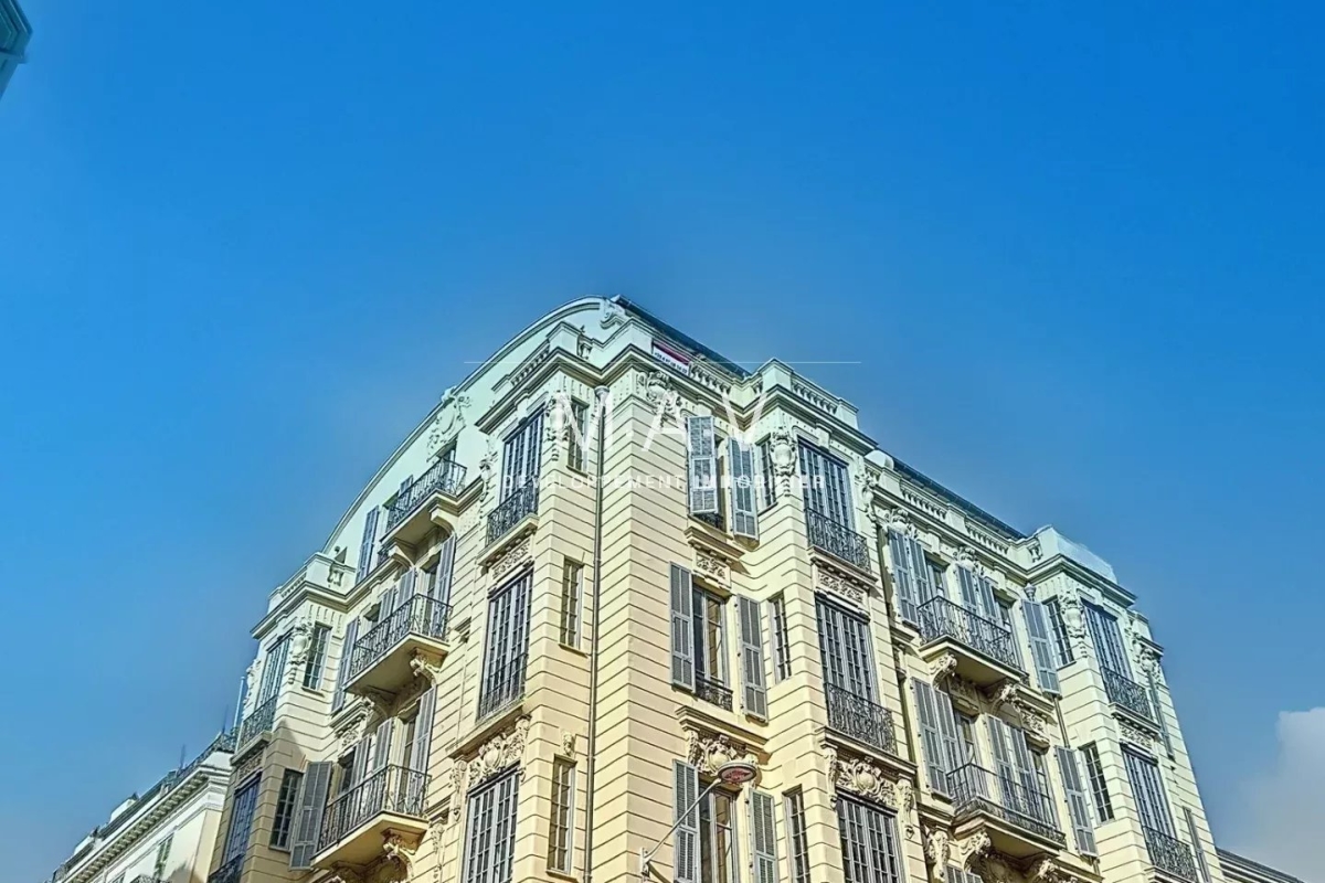 65606817