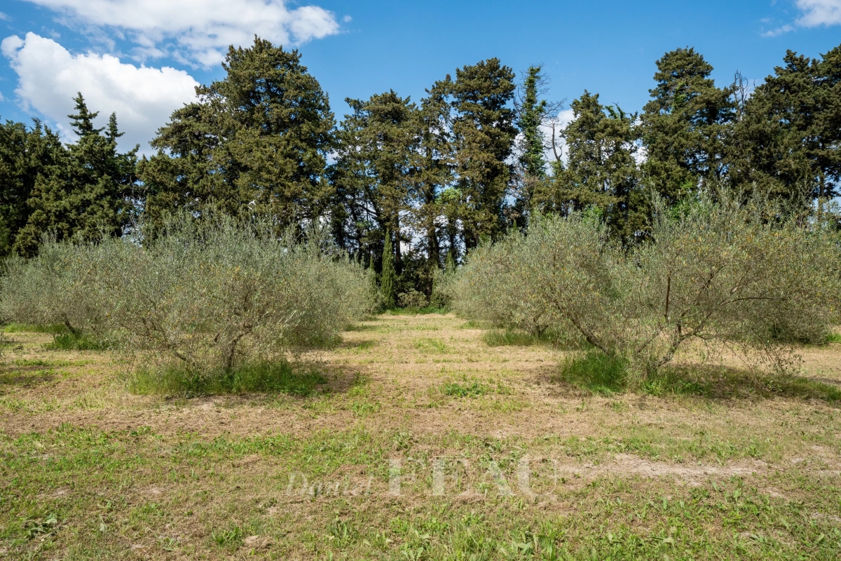 Maison de luxe à vendre à Boulbon, 1 175 000 €, Photo 2