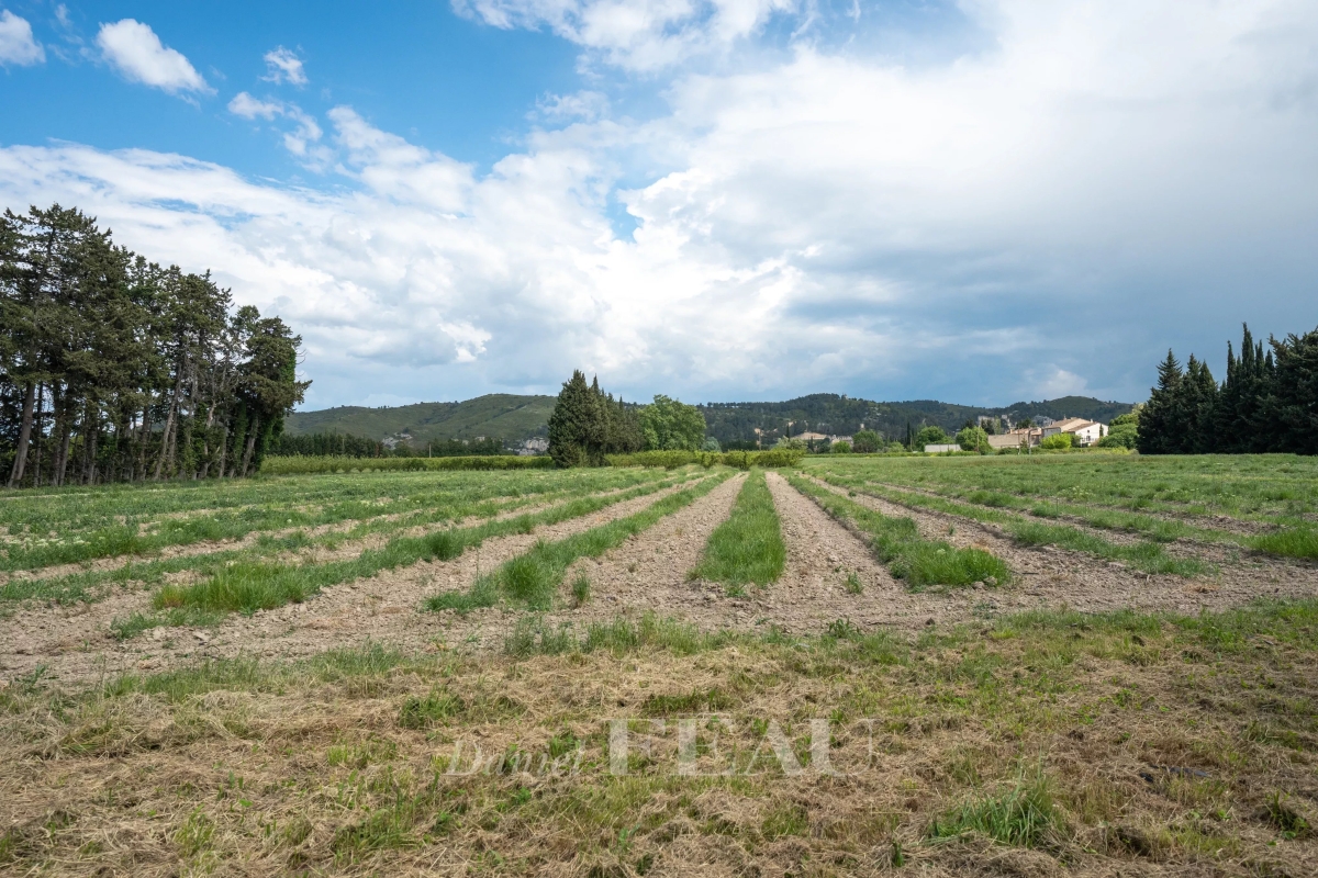 Maison de luxe à vendre à Boulbon, 1 175 000 €, Photo 6