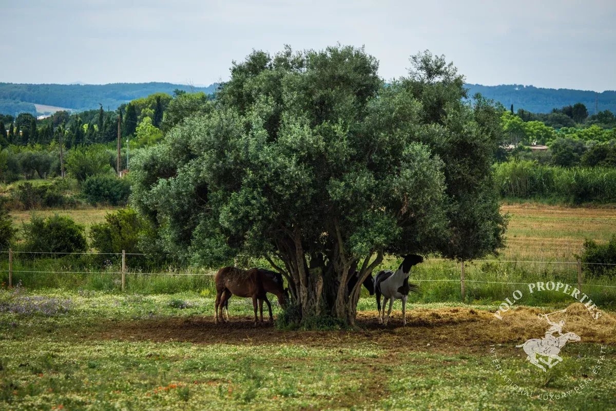 Maison de luxe à vendre à Figueres, 2 500 000 €, Photo 7