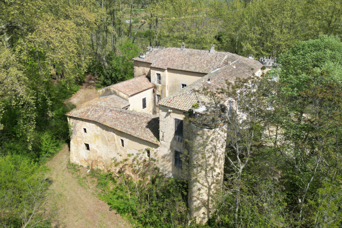 Maison de luxe à vendre à Saint-Paulet-de-Caisson, 1 600 000 €, Photo 4