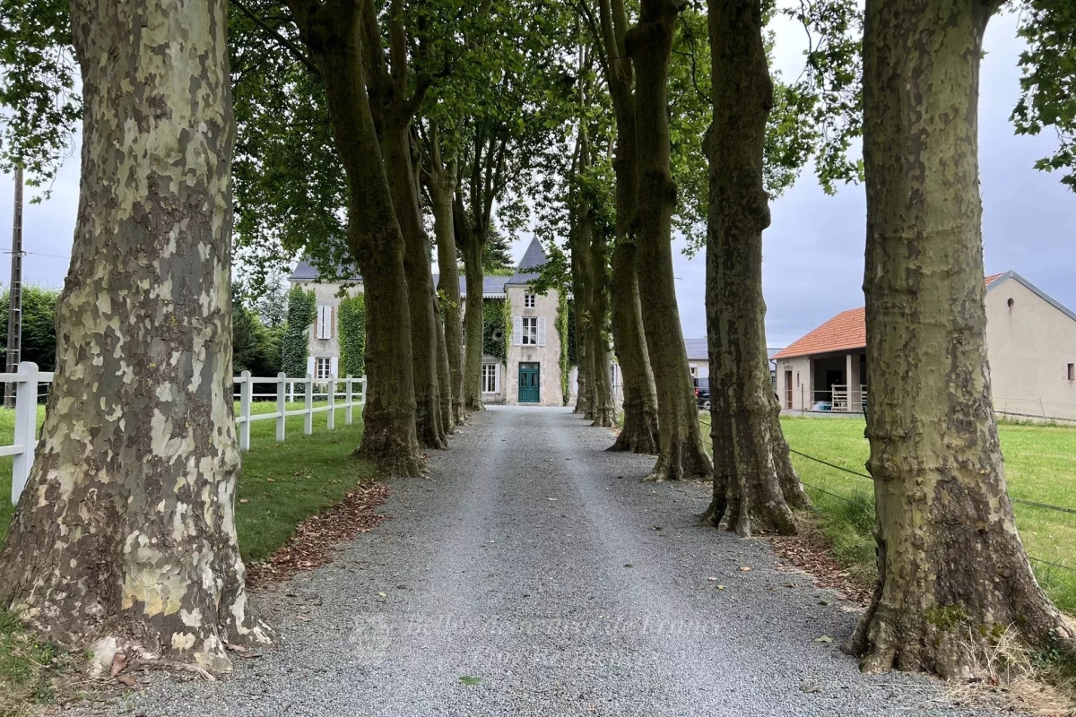 Maison de luxe à vendre à Les Herbiers, 854 000 €, Photo 2