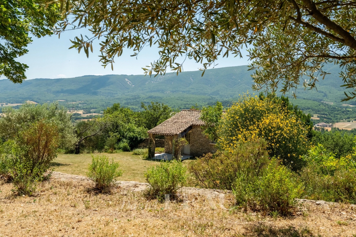 Luxury House for sale in Saint-Martin-de-Castillon, 2 500 000 €, Photo 6