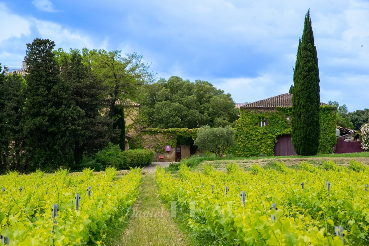 Luxury House for sale in Lirac, 5 500 000 €, Photo 5