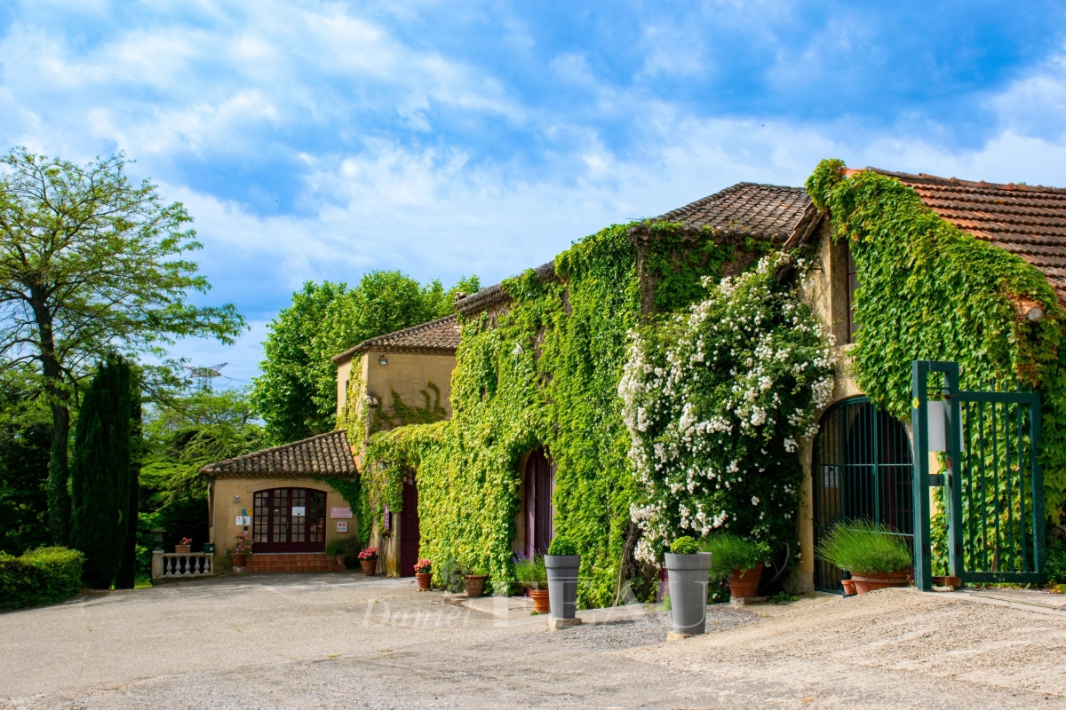 Luxury House for sale in Lirac, 5 500 000 €, Photo 6