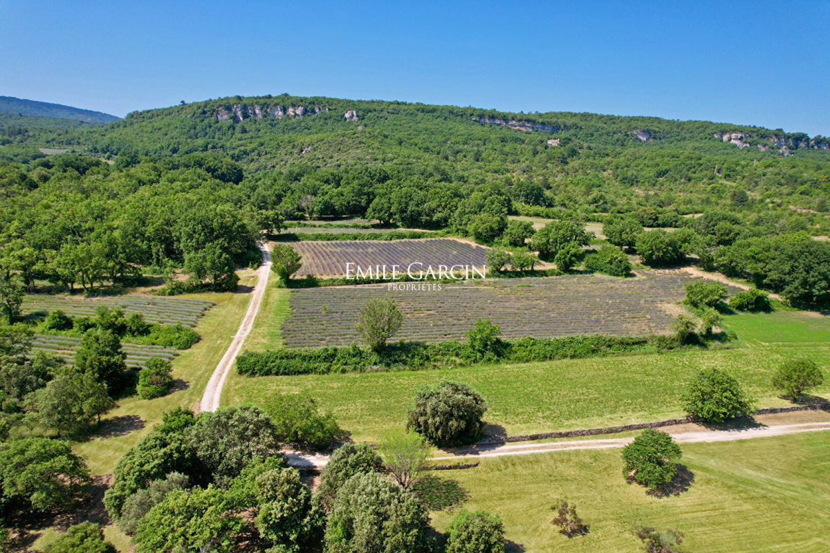 Maison de luxe à vendre à Saignon, 2 200 000 €, Photo 3