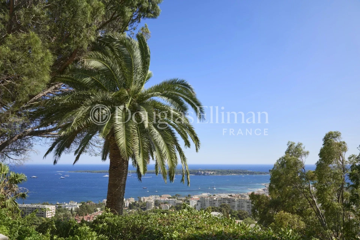 Maison de luxe à vendre à Cannes, 28 900 000 €, Photo 3