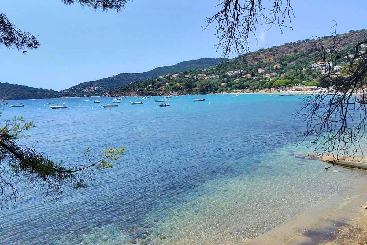 Maison de luxe à vendre à Rayol Canadel sur Mer, 6 500 000 €, Photo 4