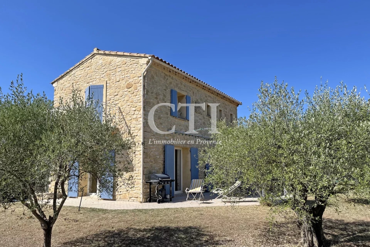 Maison de luxe à vendre à Vaison-la-Romaine, 954 000 €, Photo 4