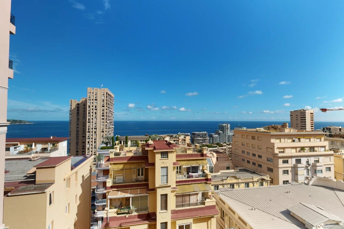 Appartement de luxe à vendre à Monaco, 3 350 000 €, Photo 2
