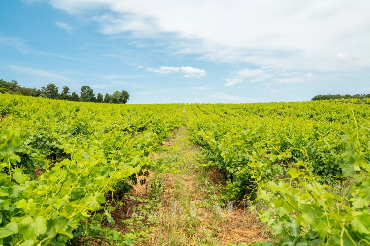 Luxury House for sale in Sabran, 2 200 000 €, Photo 4