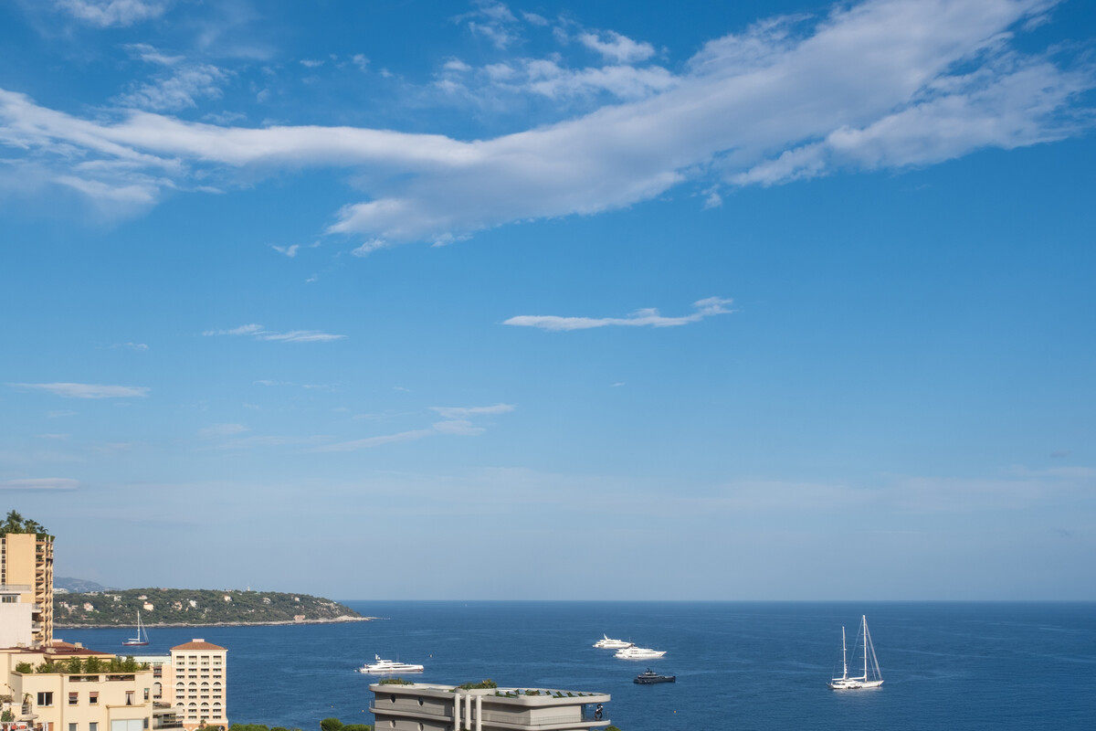 Luxury Apartment for sale in Monaco, 1 950 000 €, Photo 1